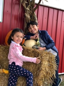 bc56ab1f-b1d3-4546-83a3-b712832c5c74